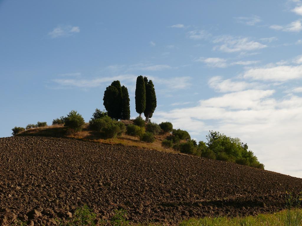 Hotel Due Torri San Severino Marche Exterior foto